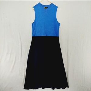 Ann Taylor flared Midi dress French Rivera